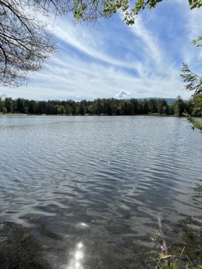 Lake Shaftsbury State Park - Shaftsbury, VT