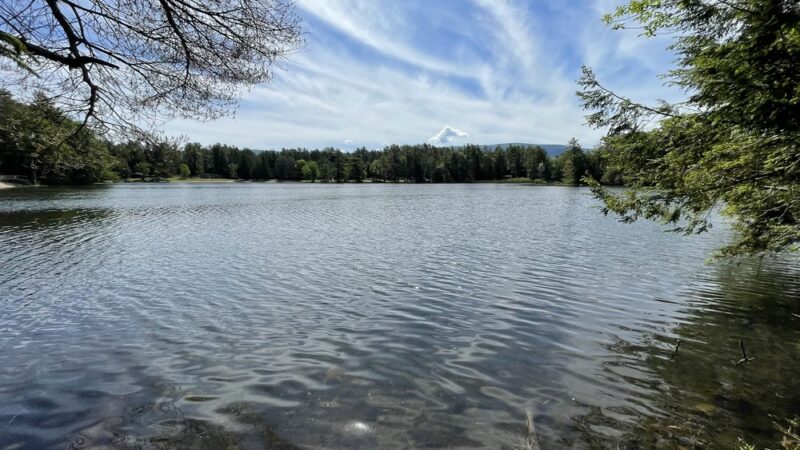 Lake Shaftsbury State Park - Shaftsbury, VT