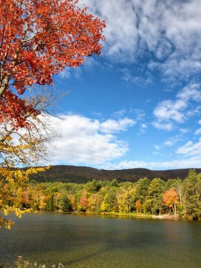 Lake Shaftsbury State Park- Forestry Department - Shaftsbury, VT