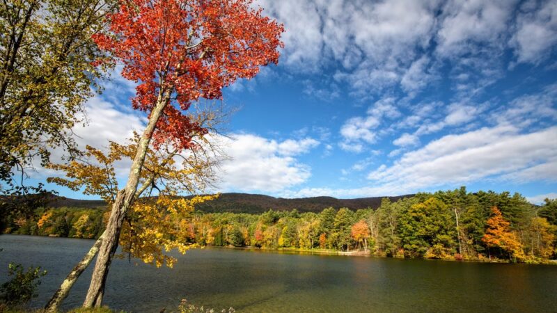 Lake Shaftsbury State Park- Forestry Department - Shaftsbury, VT