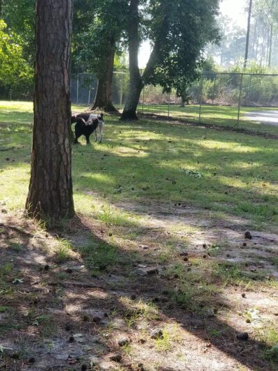 Shallotte Township Park - Shallotte, NC