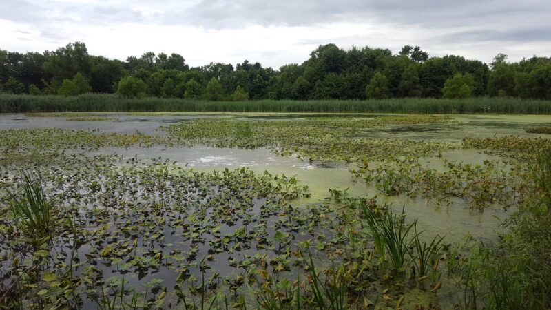 Hermesprota Creek Park - Sharon Hill, PA