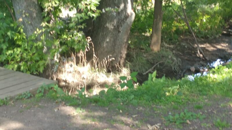 Hermesprota Creek Park - Sharon Hill, PA