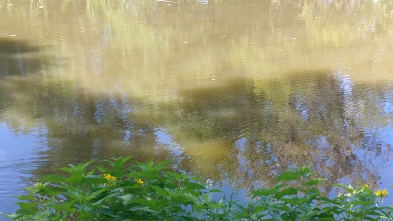 Hermesprota Creek Park - Sharon Hill, PA