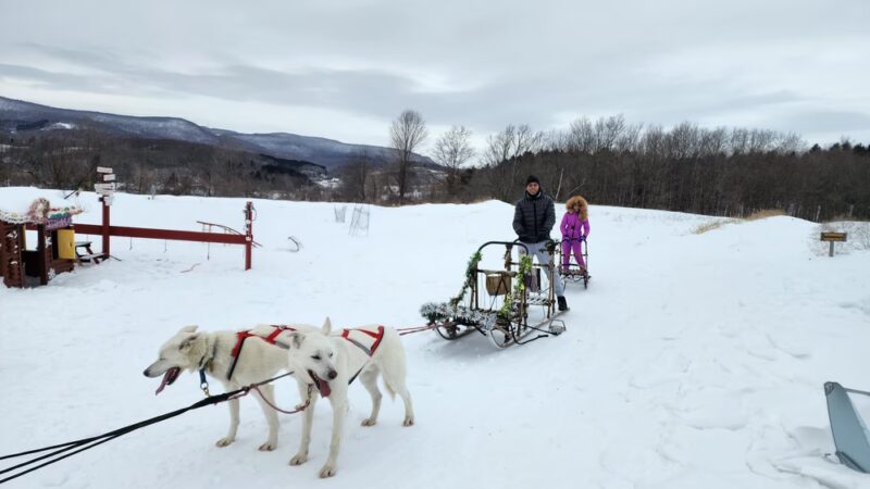Run By Dogs - Sharon Springs, NY