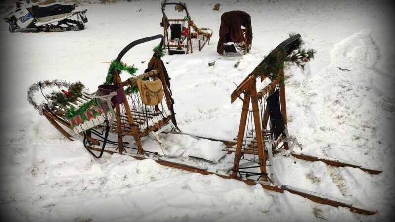 Run By Dogs - Sharon Springs, NY