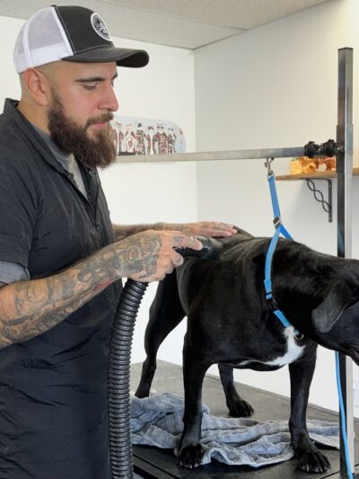 Lakeside Pet Spa - Shell Knob, MO