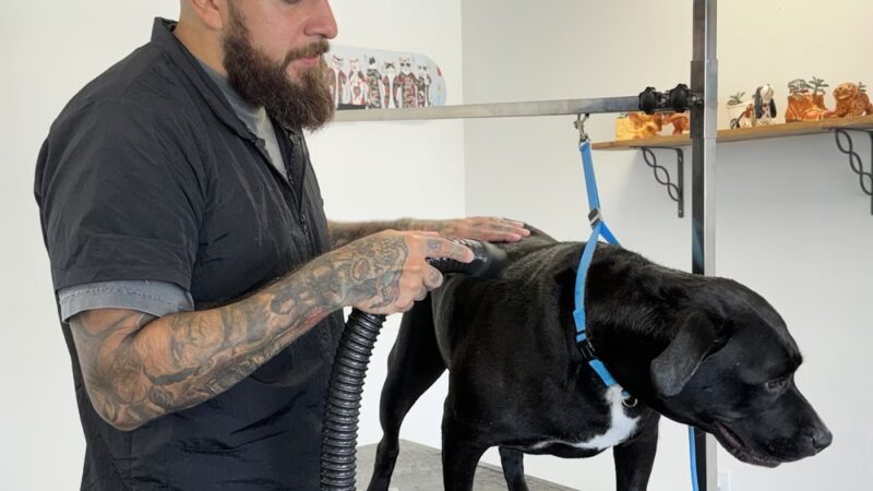 Lakeside Pet Spa - Shell Knob, MO