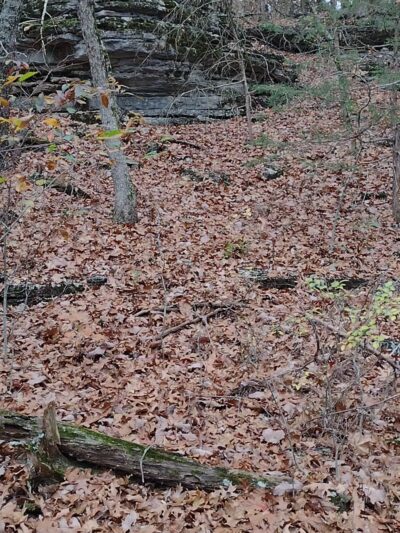 Pilot Knob Conservation Area Trailhead - Shell Knob, MO