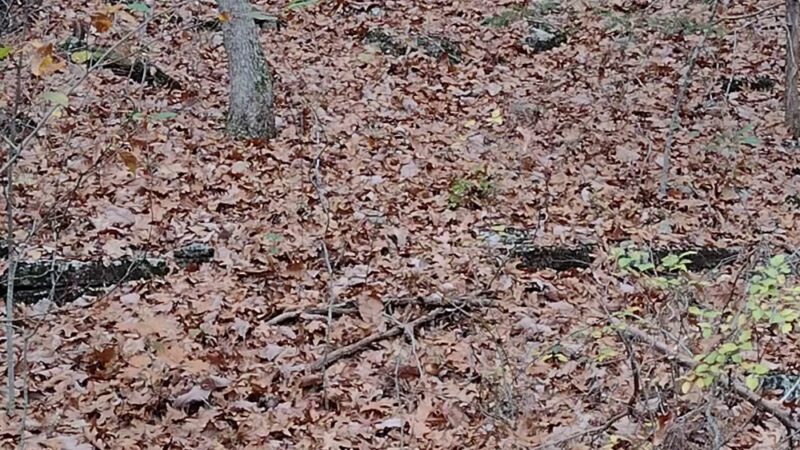 Pilot Knob Conservation Area Trailhead - Shell Knob, MO
