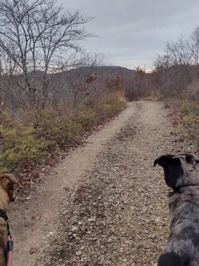 Pilot Knob Conservation Area Trailhead - Shell Knob, MO