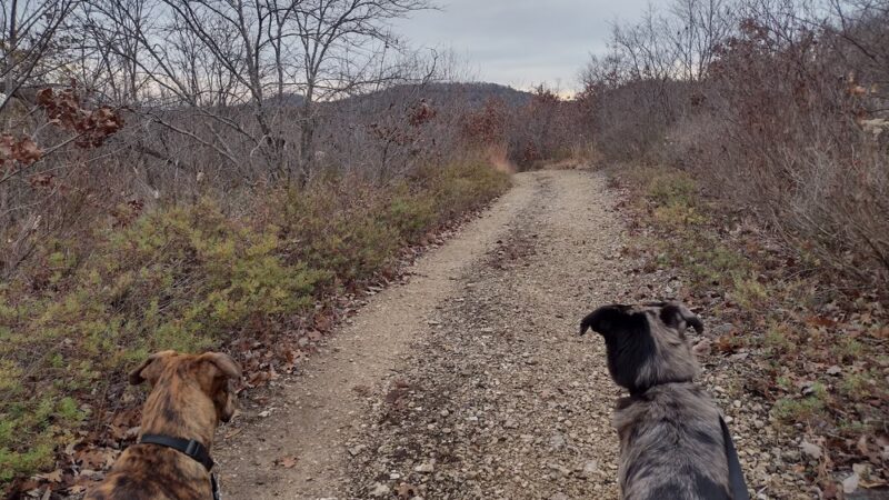 Pilot Knob Conservation Area Trailhead - Shell Knob, MO