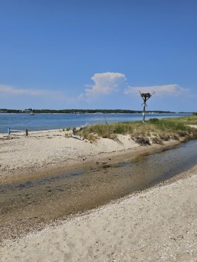 Town Landing Beach - Shelter Island Heights, NY
