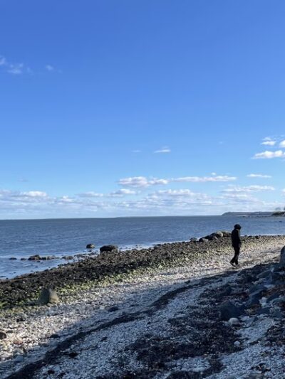 Town Landing Beach - Shelter Island Heights, NY
