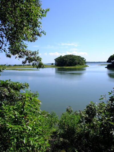 Mashomack Preserve - Shelter Island, NY