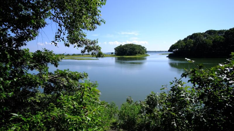 Mashomack Preserve - Shelter Island, NY