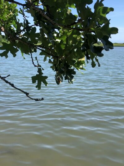Mashomack Preserve - Shelter Island, NY