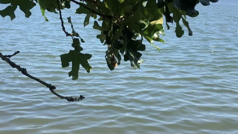 Mashomack Preserve - Shelter Island, NY