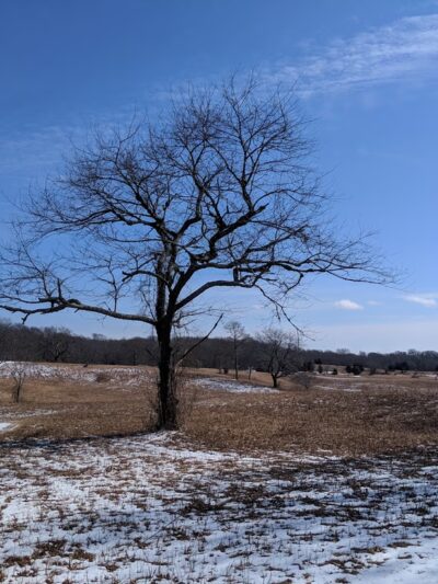 Mashomack Preserve - Shelter Island, NY