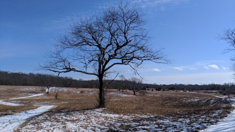 Mashomack Preserve - Shelter Island, NY
