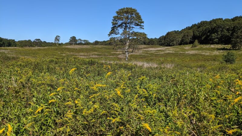 Mashomack Preserve - Shelter Island, NY