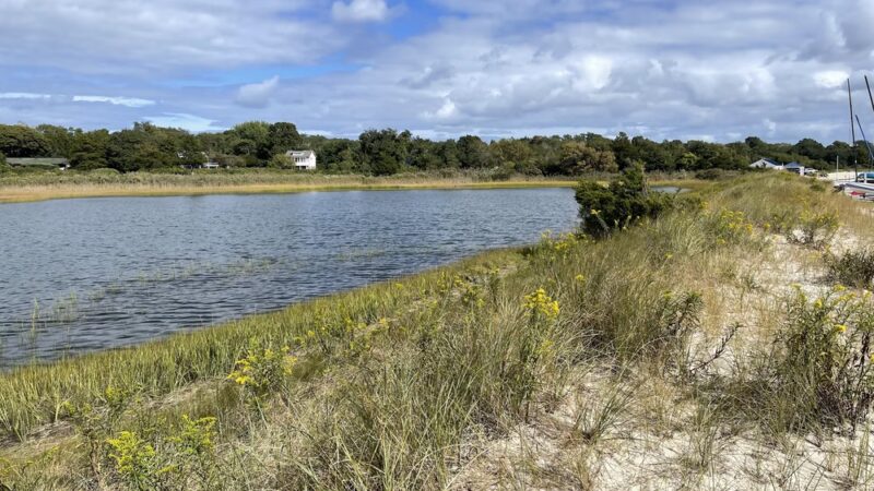 Wades Beach - Shelter Island, NY