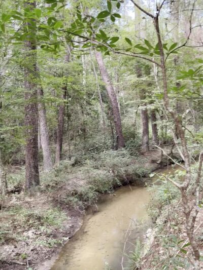 Lone Star Hiking Trail - Trailhead #12 - Shepherd, TX