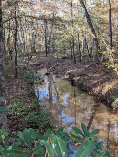 Lone Star Hiking Trail - Trailhead #12 - Shepherd, TX