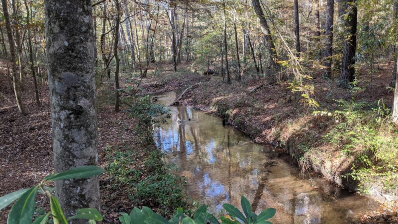 Lone Star Hiking Trail - Trailhead #12 - Shepherd, TX