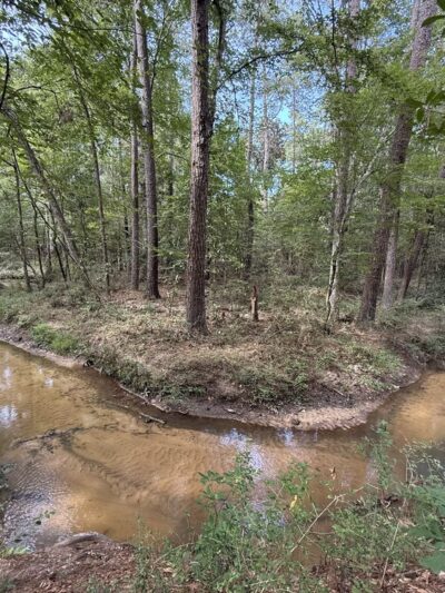 Lone Star Hiking Trail - Trailhead #12 - Shepherd, TX