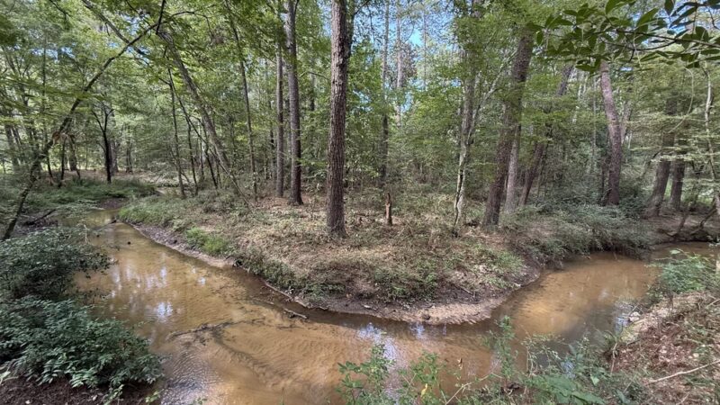 Lone Star Hiking Trail - Trailhead #12 - Shepherd, TX
