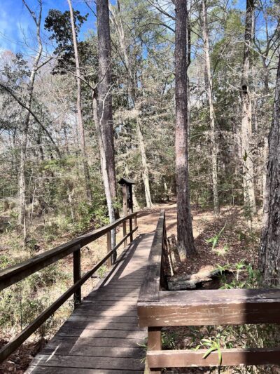 Lone Star Hiking Trail - Trailhead #12 - Shepherd, TX