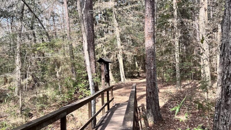 Lone Star Hiking Trail - Trailhead #12 - Shepherd, TX
