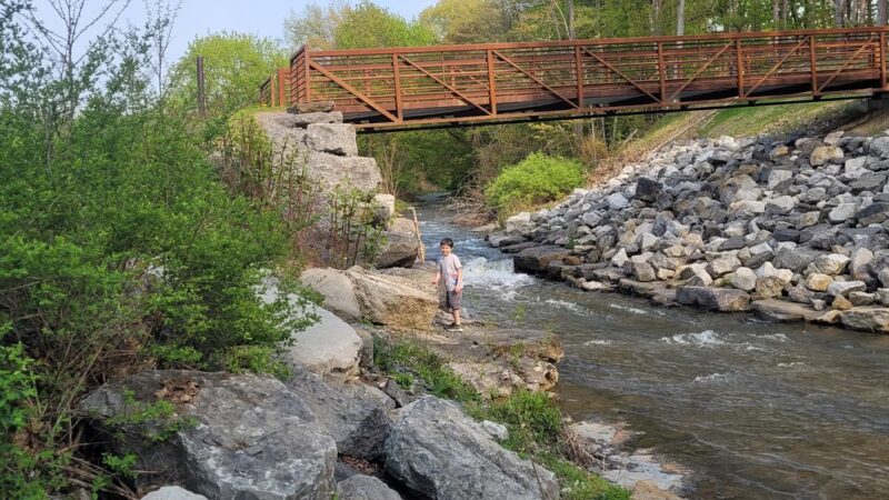 Paddleford Park - Sherburne, NY