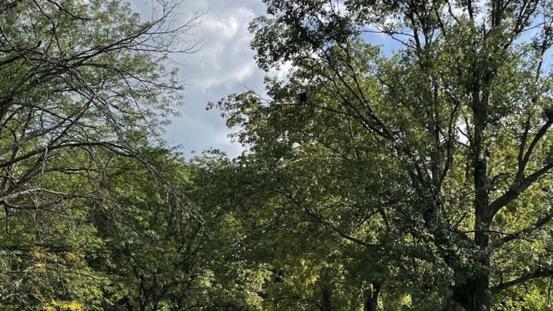 Biddle Memorial Park - Sheridan, IN