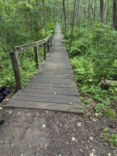 Mallory Preserve - Sherman, CT