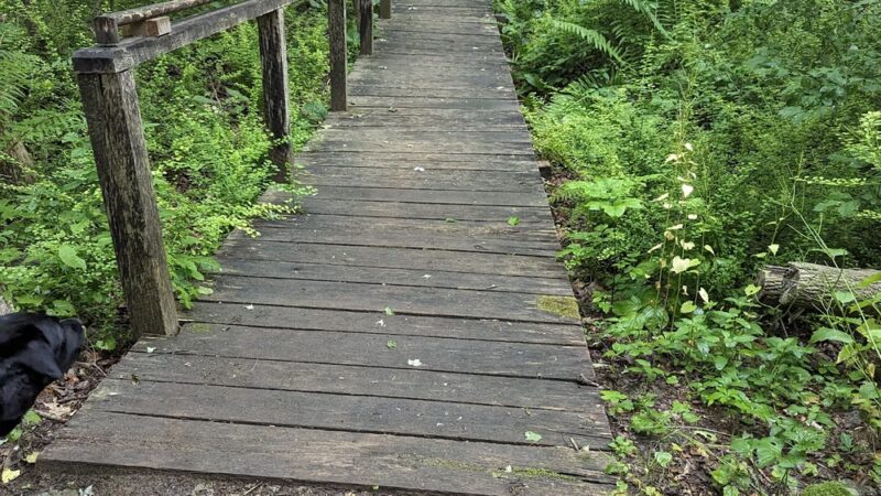 Mallory Preserve - Sherman, CT