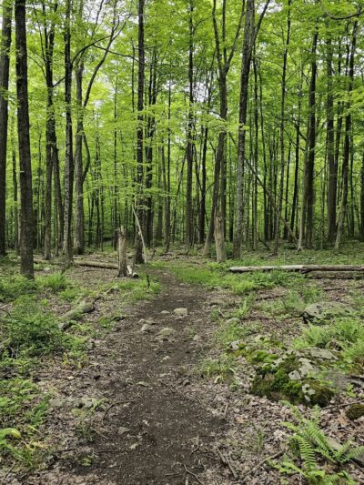 Mallory Preserve - Sherman, CT