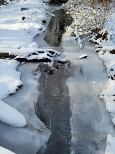 Mallory Preserve - Sherman, CT