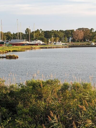 Back Creek Community Park - Sherwood, MD