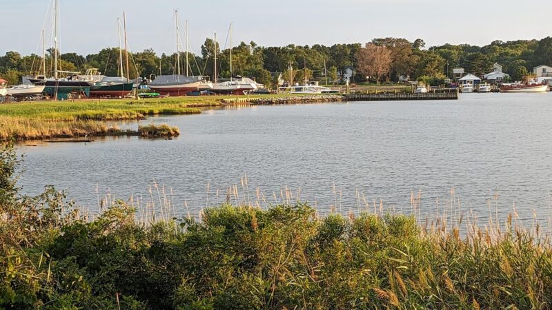 Back Creek Community Park - Sherwood, MD