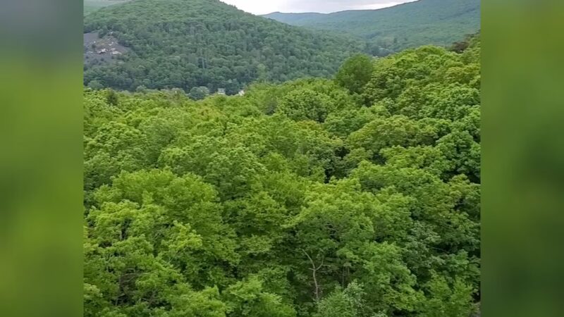 Mocanaqua Loop Trail - Shickshinny, PA