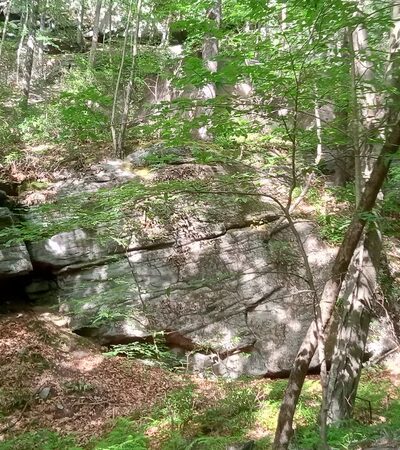 Mocanaqua Loop Trail - Shickshinny, PA