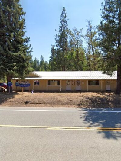Shingletown's Doggie Grooming Parlor - Shingletown, CA