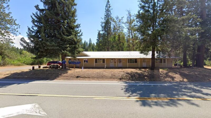 Shingletown's Doggie Grooming Parlor - Shingletown, CA
