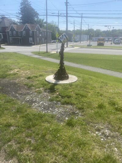 Cumberland Valley Rail Trail - Shippensburg Township Park Trailhead - Shippensburg, PA