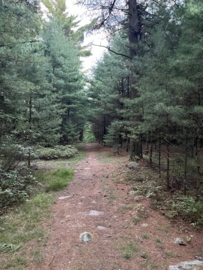 Lower Lollipop Trail - Shippensburg, PA