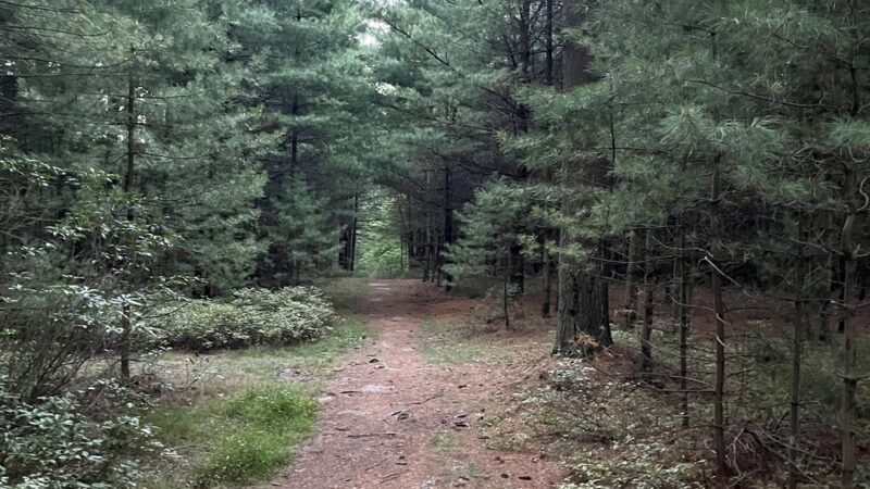 Lower Lollipop Trail - Shippensburg, PA