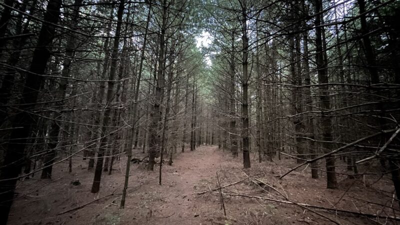 Lower Lollipop Trail - Shippensburg, PA