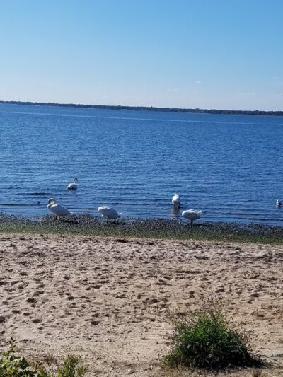 Shirley Beach - Shirley, NY